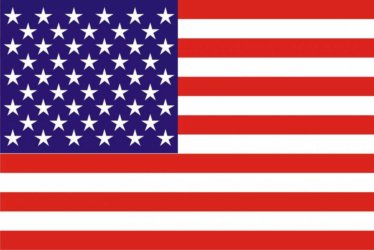 Флаг америки #15