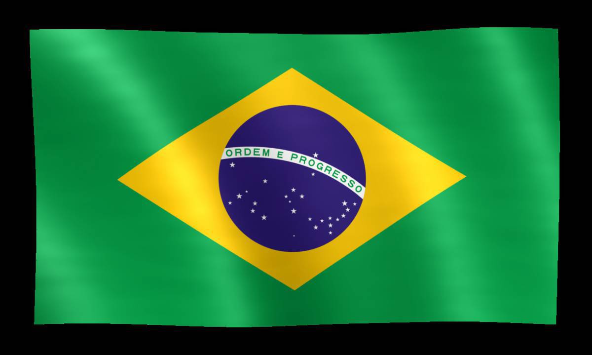 Флаг бразилии #16