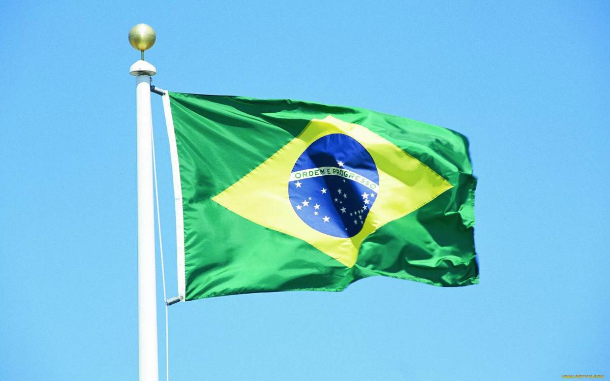 Флаг бразилии #18