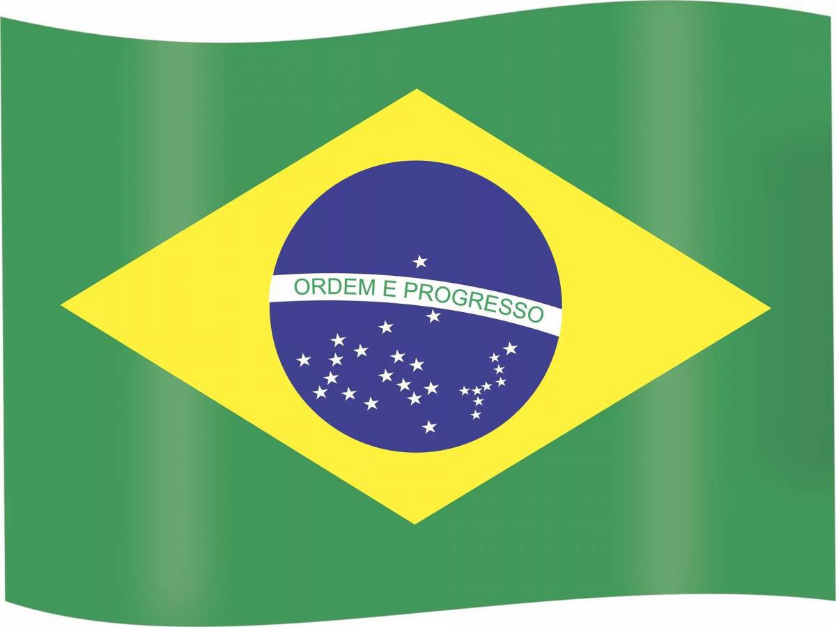 Флаг бразилии #27