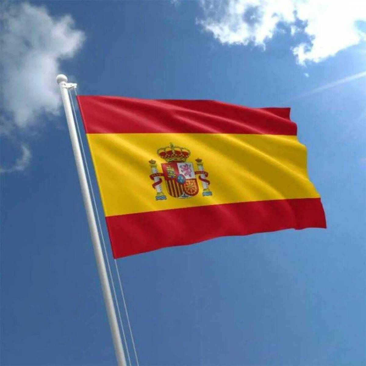 Флаг испании #12