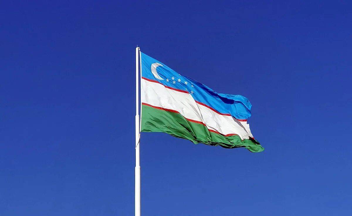 Флаг узбекистана #8