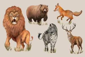 Раскраска дикие животные для детей 3 4 лет #8 #57390