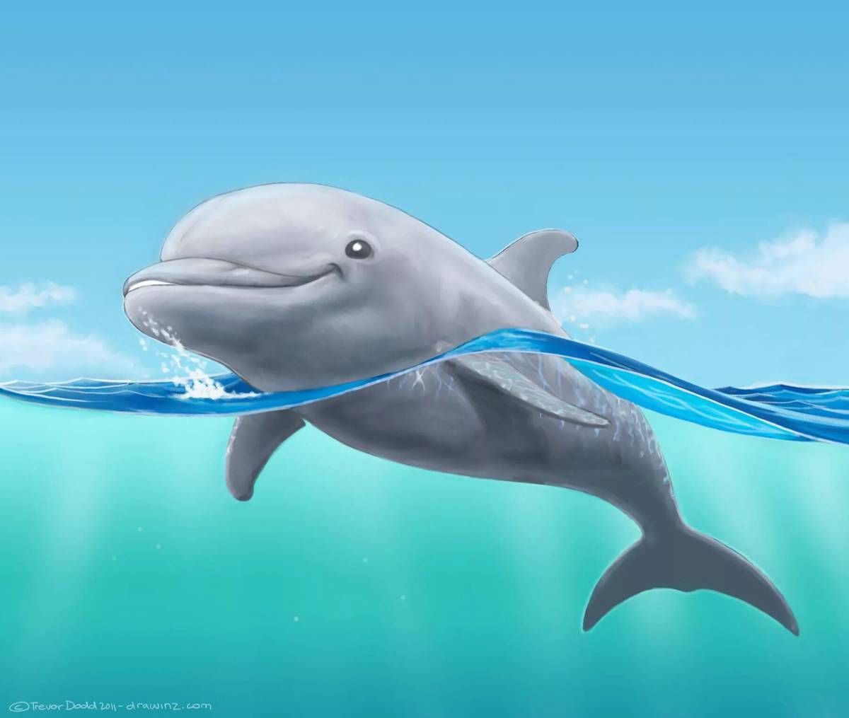 Дельфинчик #16