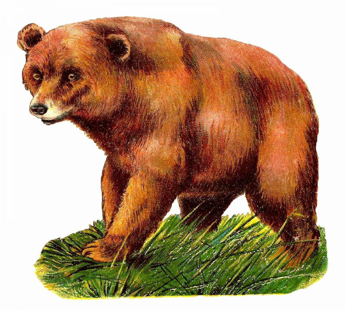 Медведь для детей #1