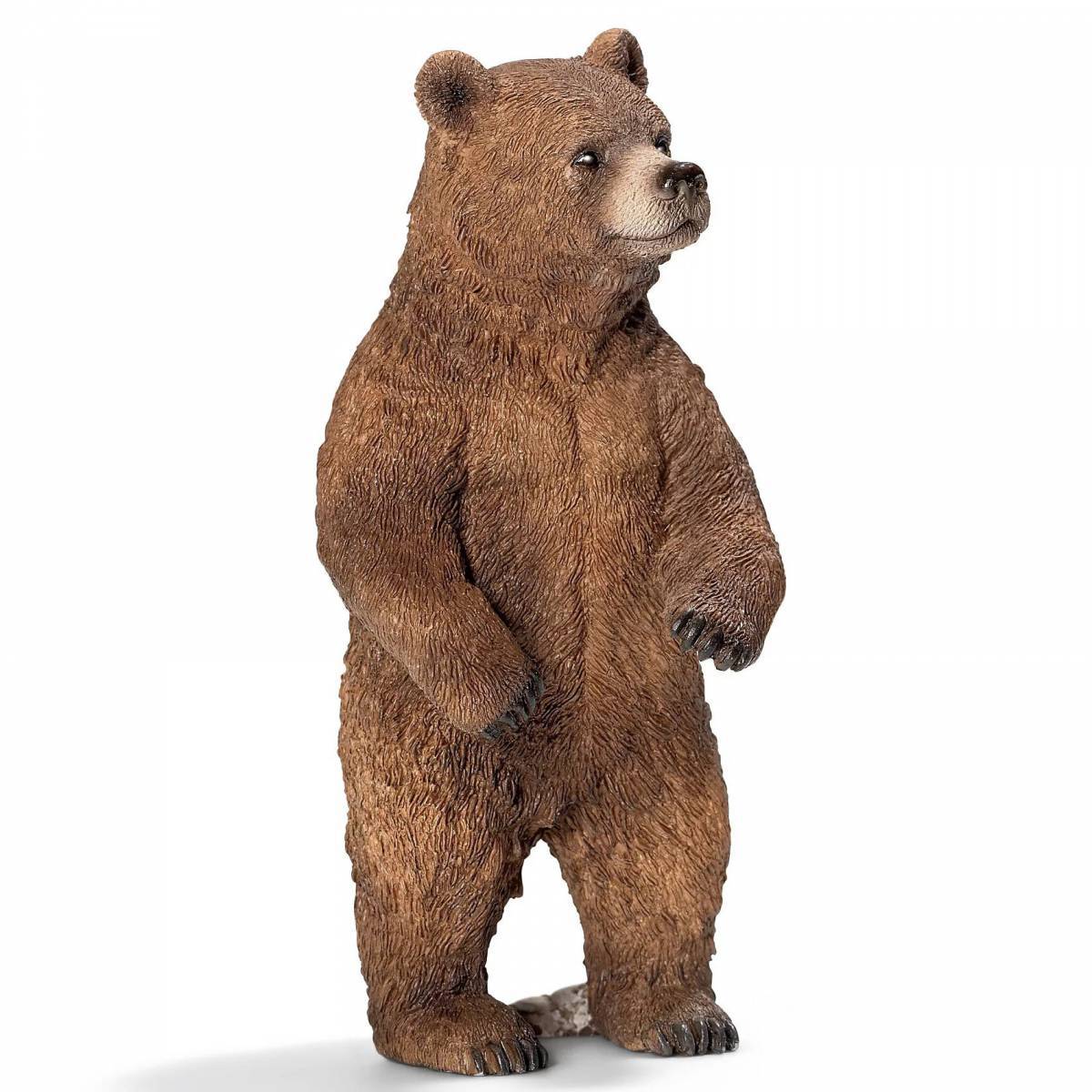 Медведь для детей #2