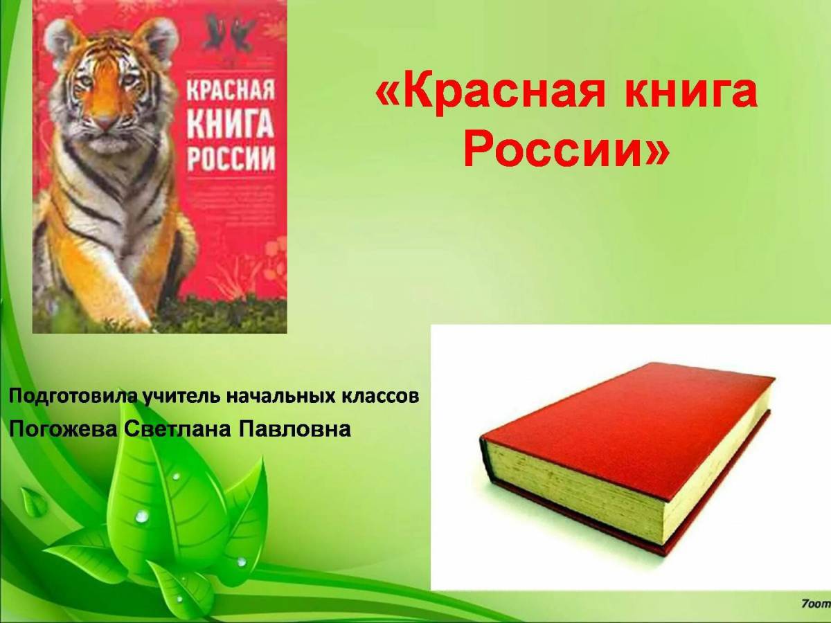 Животные красной книги #26