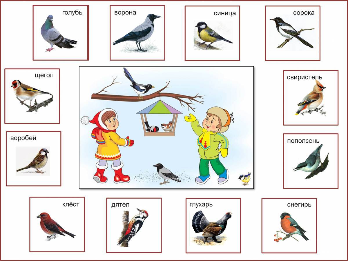 Зимующие птицы для детей 3 4 лет #25