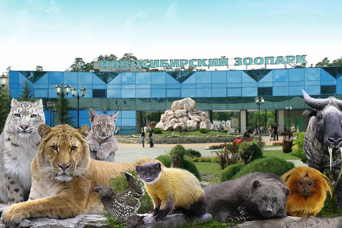 Зоопарк #15