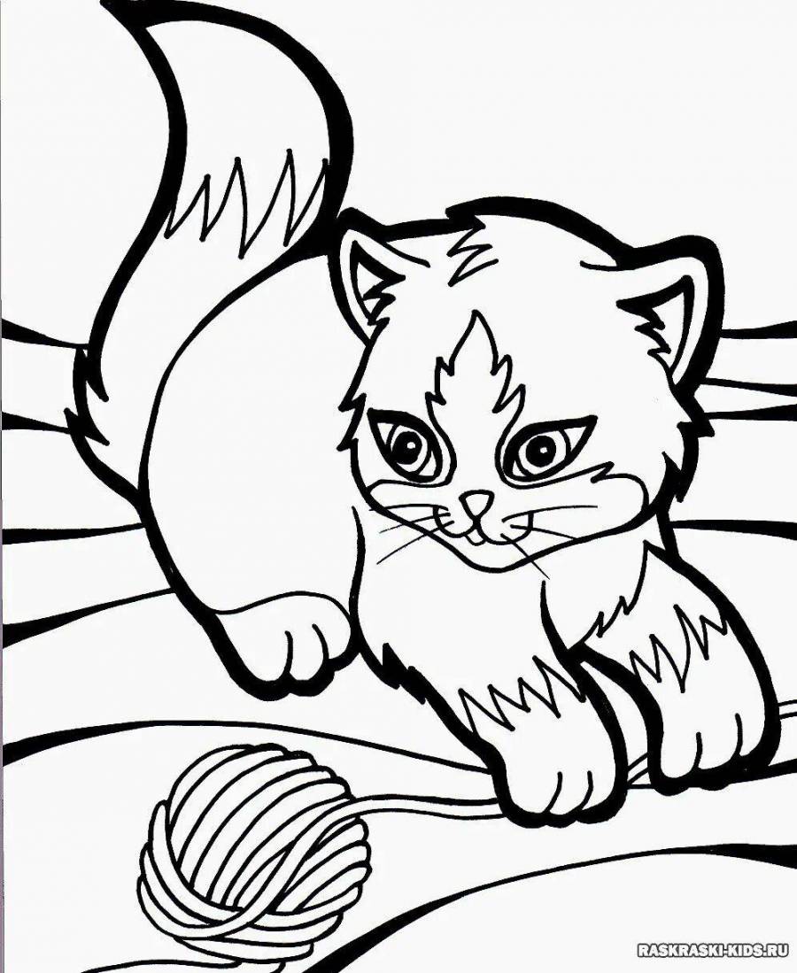Котик для печати