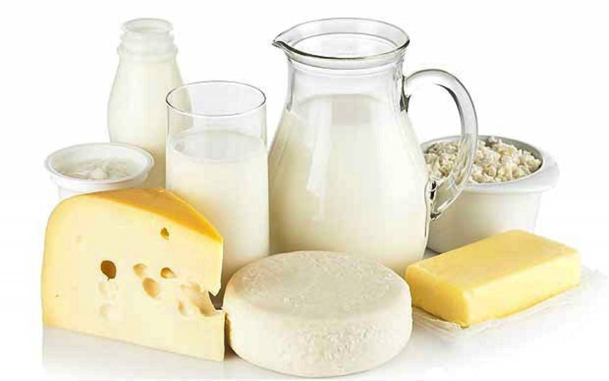 Молочные продукты #14