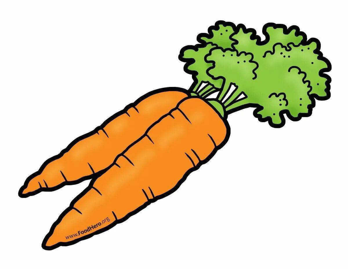 Морковь для детей #24