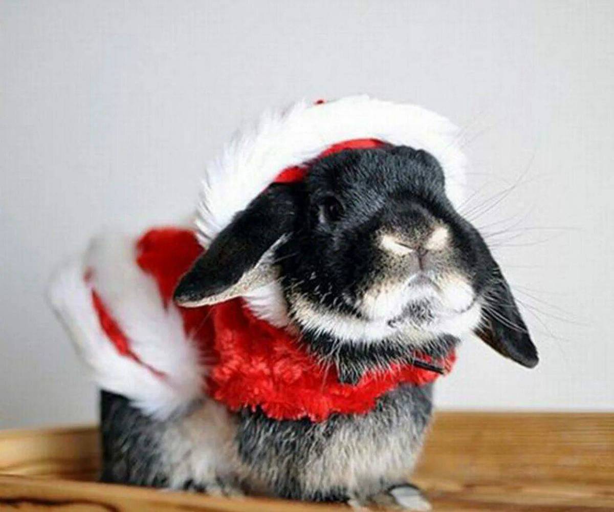 Новогодний кролик #17