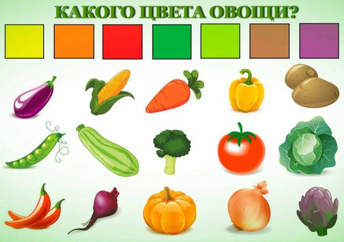 Овощи и фрукты для детей 4 5 лет #6