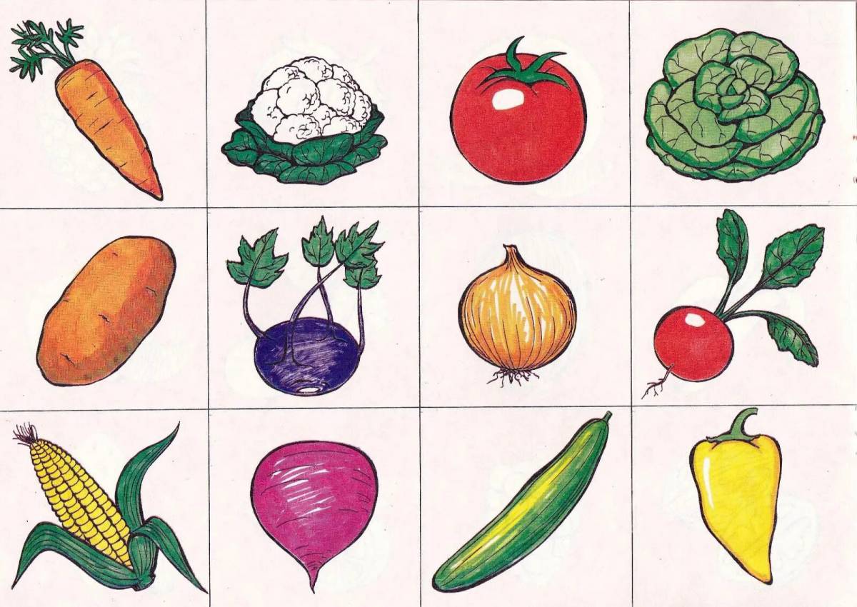 Овощи и фрукты для детей 4 5 лет #22