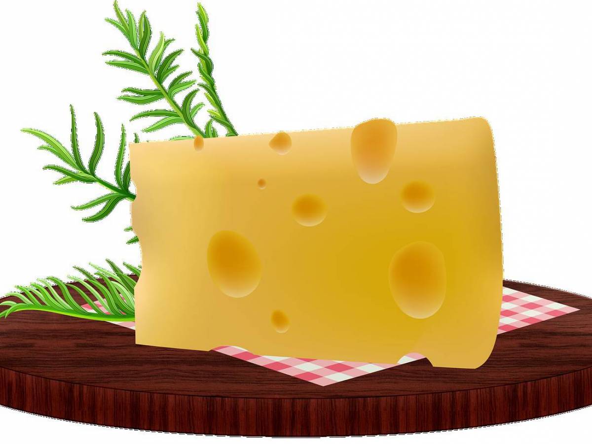 Сыр для детей #27
