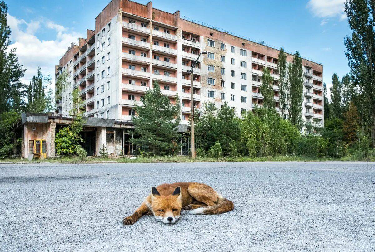 Чернобыль #20