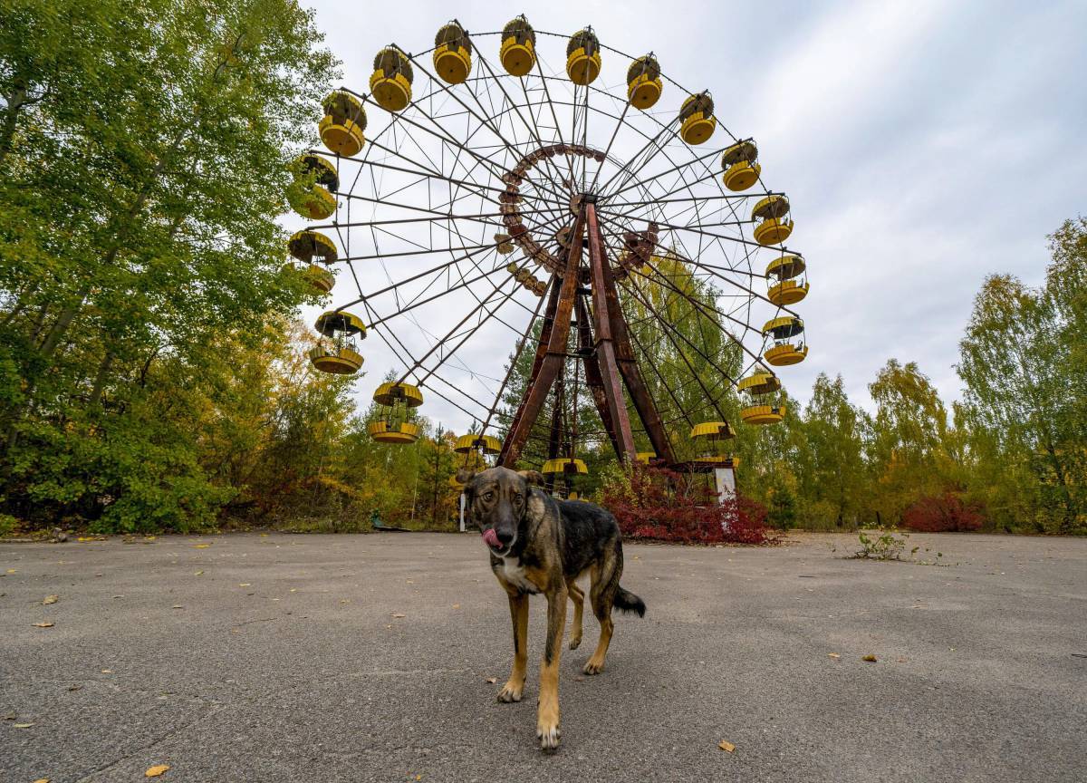 Чернобыль #23