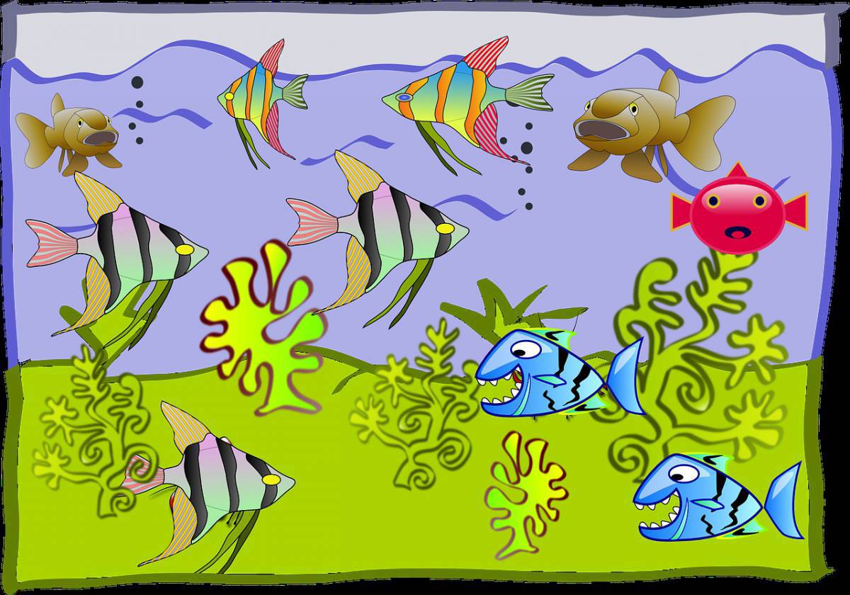 Аквариумные рыбки для детей #20