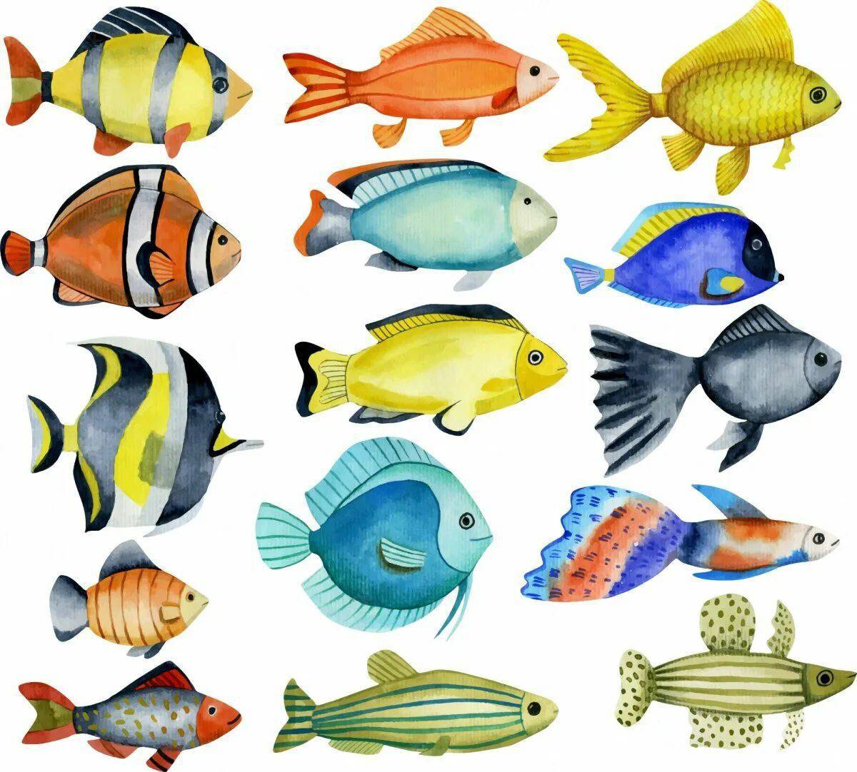 Аквариумные рыбки для детей #38