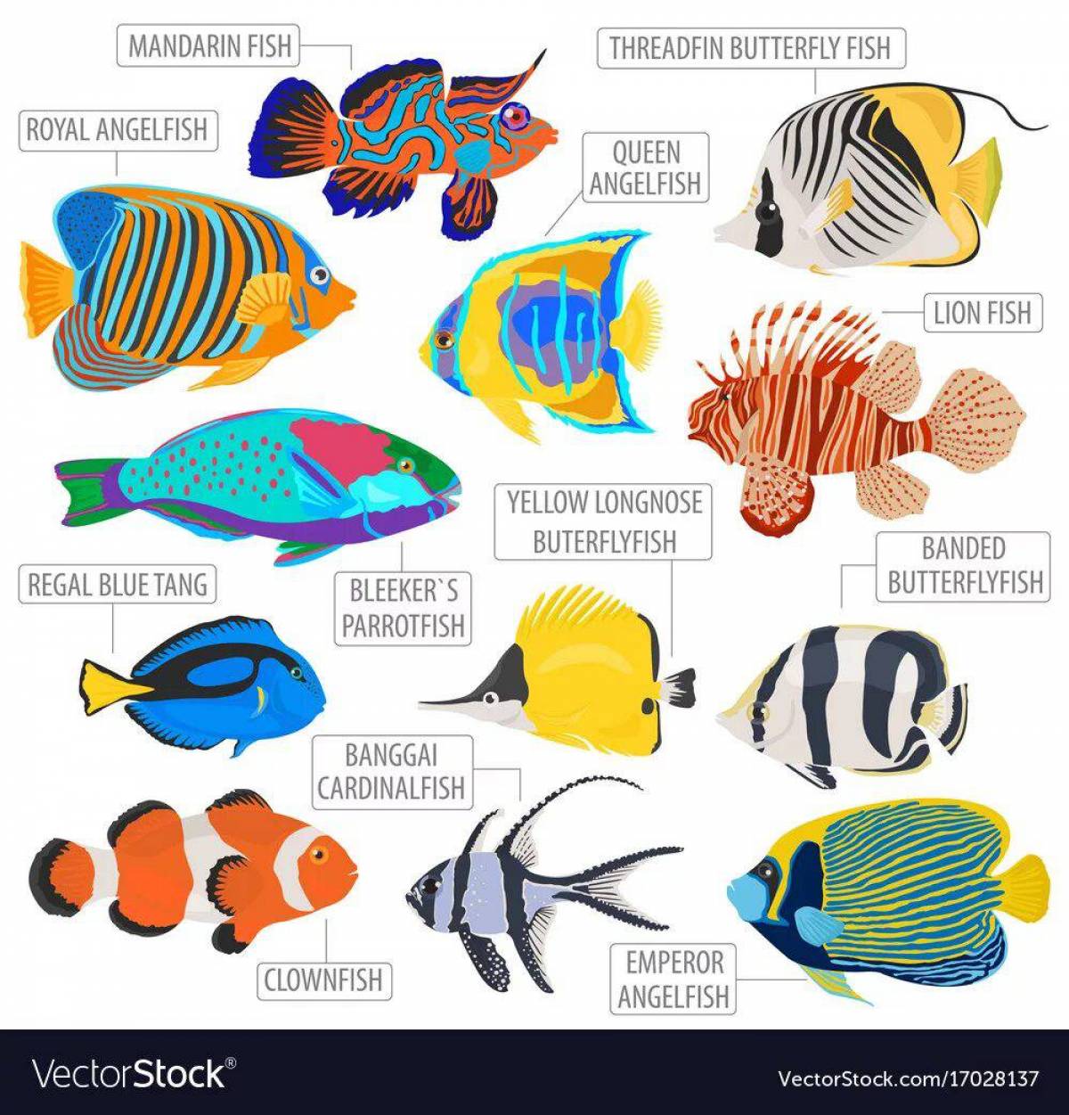 Аквариумные рыбки с названиями для детей #10