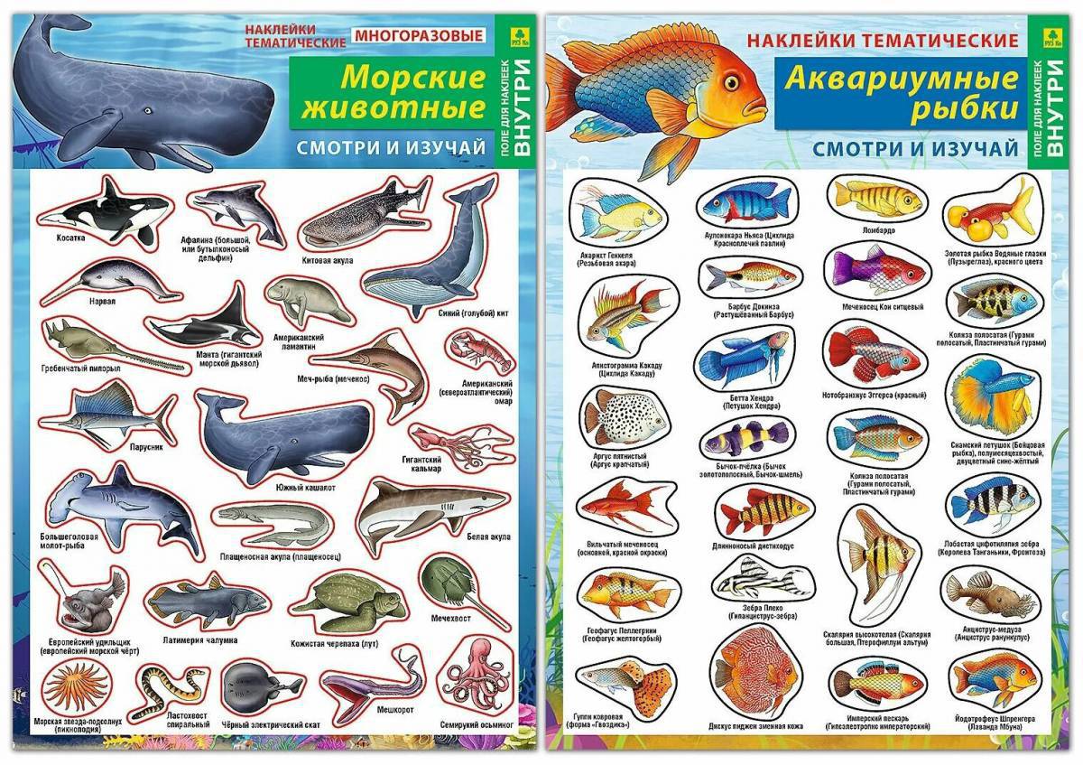 Аквариумные рыбки с названиями для детей #17