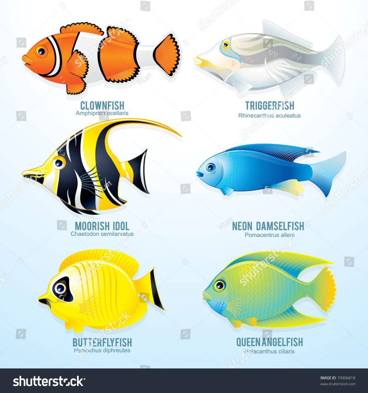 Аквариумные рыбки с названиями для детей #33