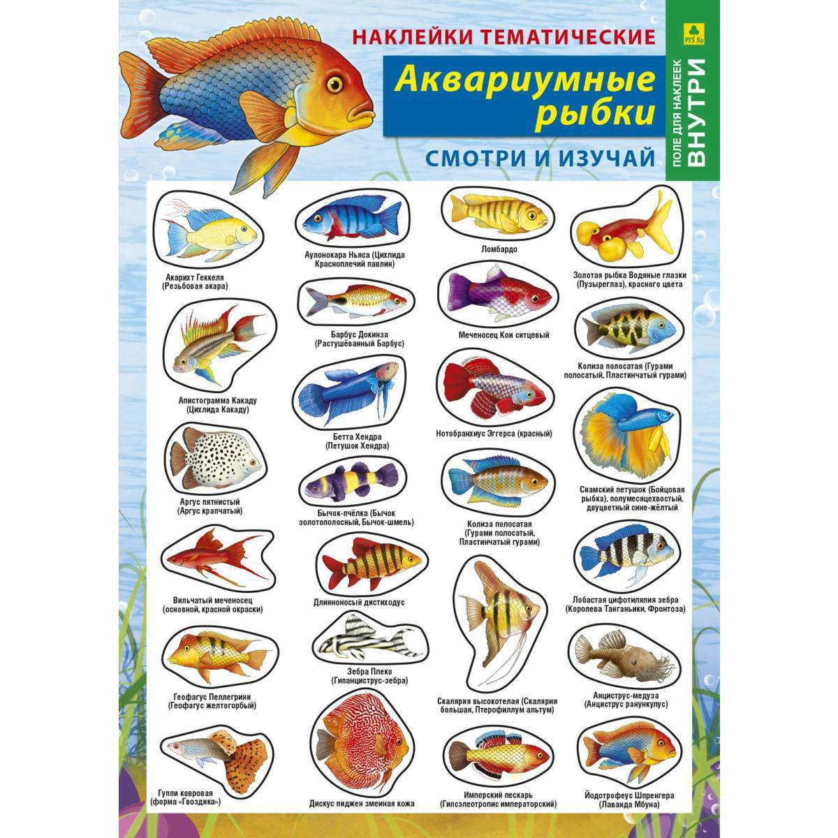 Аквариумные рыбки с названиями для детей #36