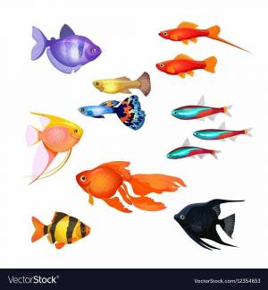 Раскраска аквариумные рыбки для детей #6 #196608