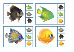 Раскраска аквариумные рыбки для детей #28 #196630