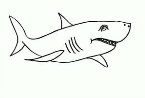 Раскраска акула для детей 4 5 лет #22 #197046