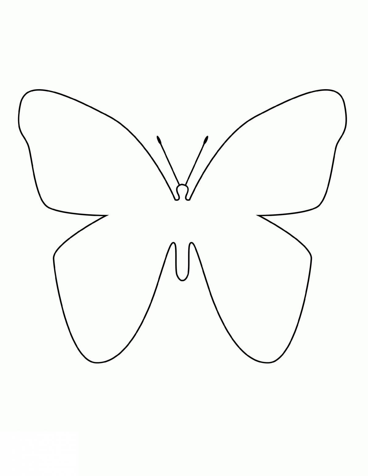 Бабочка контур #9