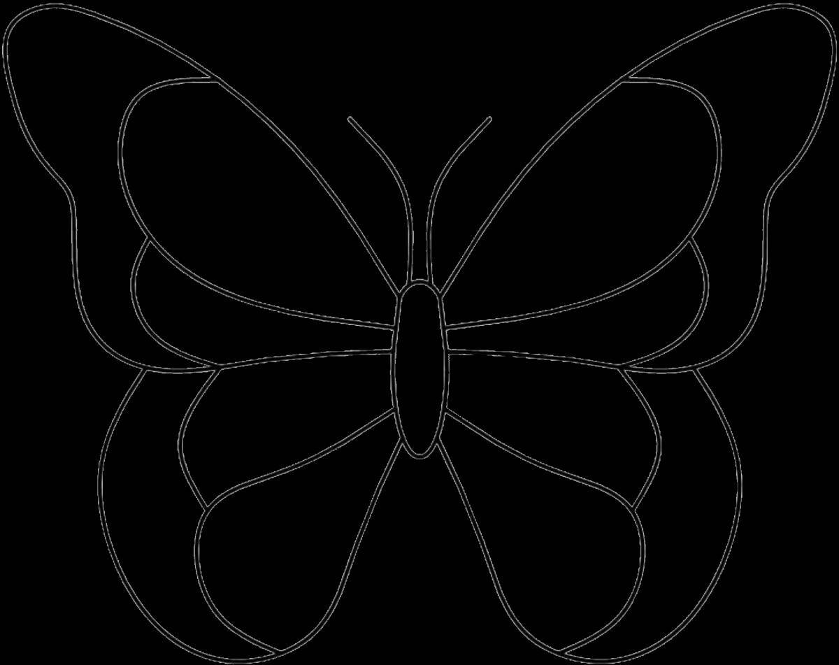 Бабочка контур #15