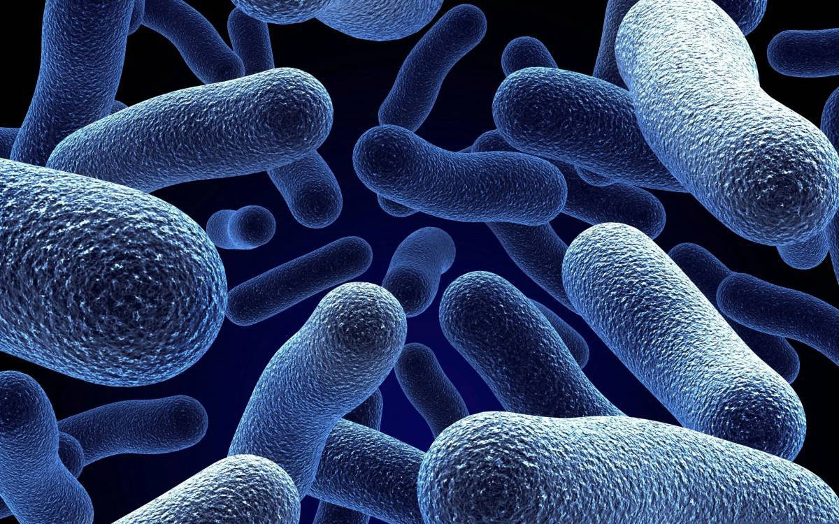 Бактерии #3