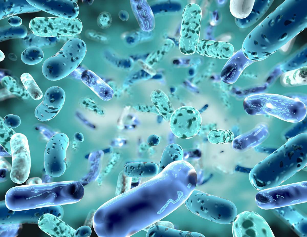 Бактерии #7