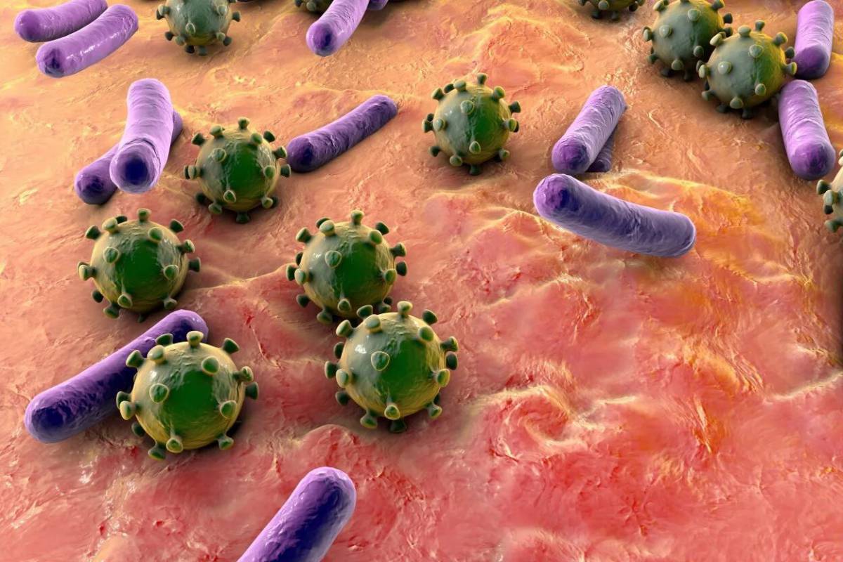 Бактерии #9
