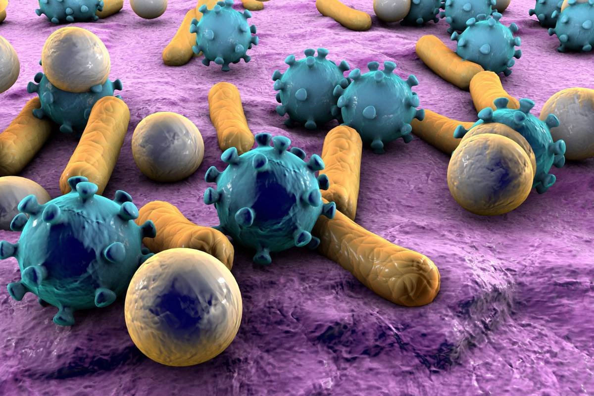 Бактерии #11