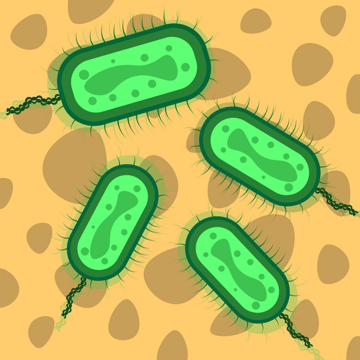 Бактерии #12