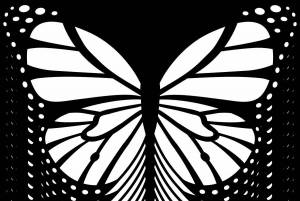 Раскраска бабочка контур #1 #209353