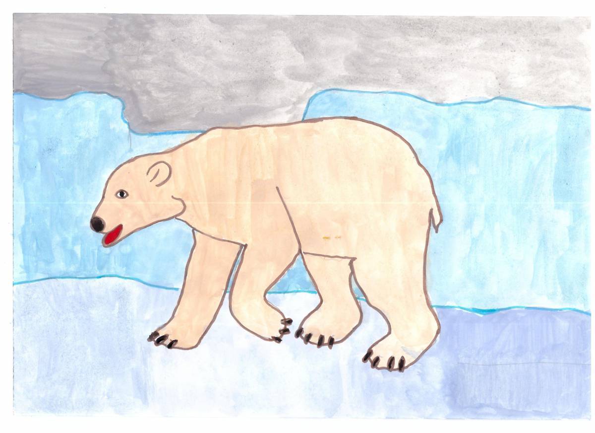 Белый медведь для детей 5 6 лет #17