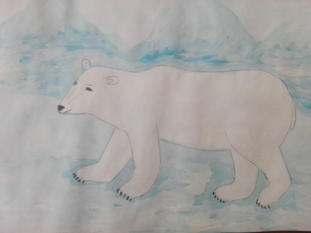 Белый медведь для детей 5 6 лет #18