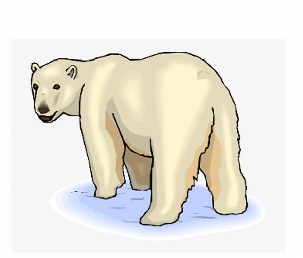 Белый медведь для детей 5 6 лет #35
