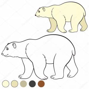Раскраска белый медведь для детей 5 6 лет #13 #215670