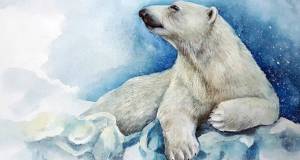 Раскраска белый медведь для детей 5 6 лет #21 #215678
