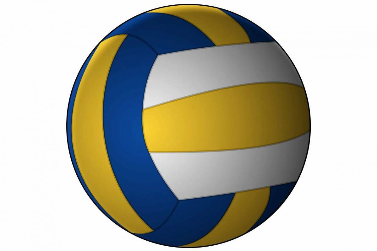 Волейбольный мяч #9