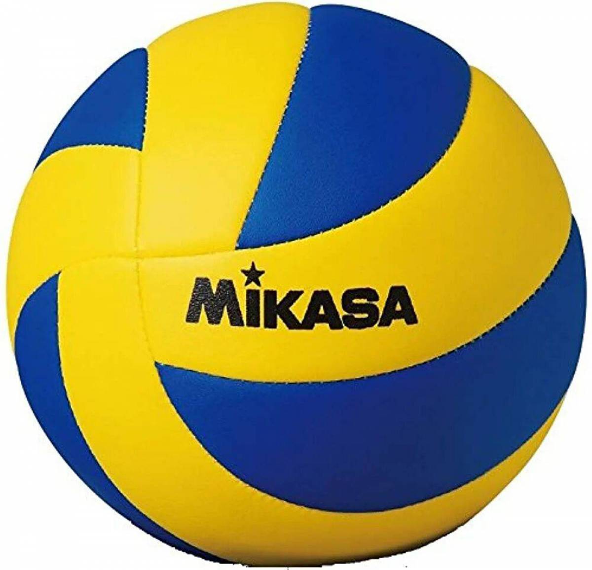 Волейбольный мяч #13