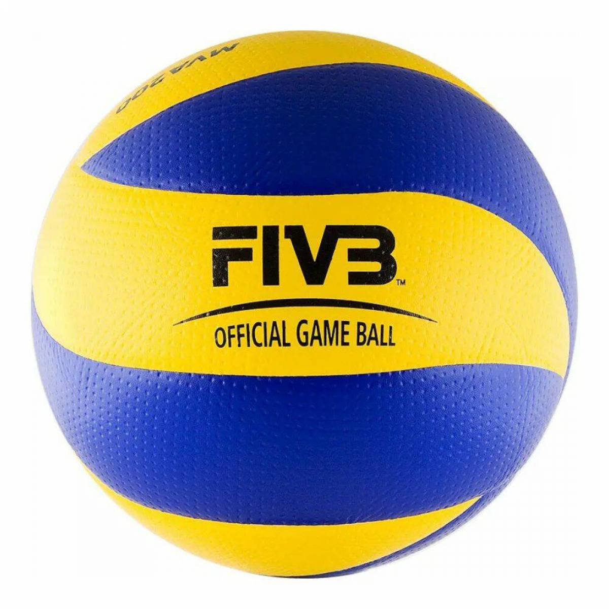 Волейбольный мяч #17