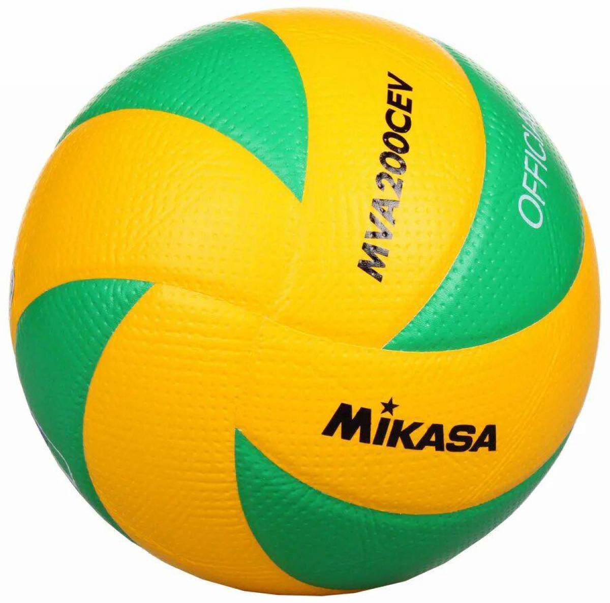 Волейбольный мяч #23