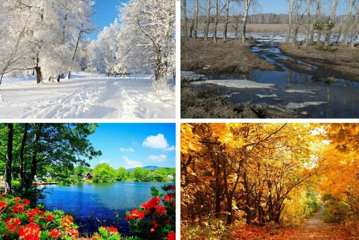 Времена года весна лето осень зима на одном листе #20