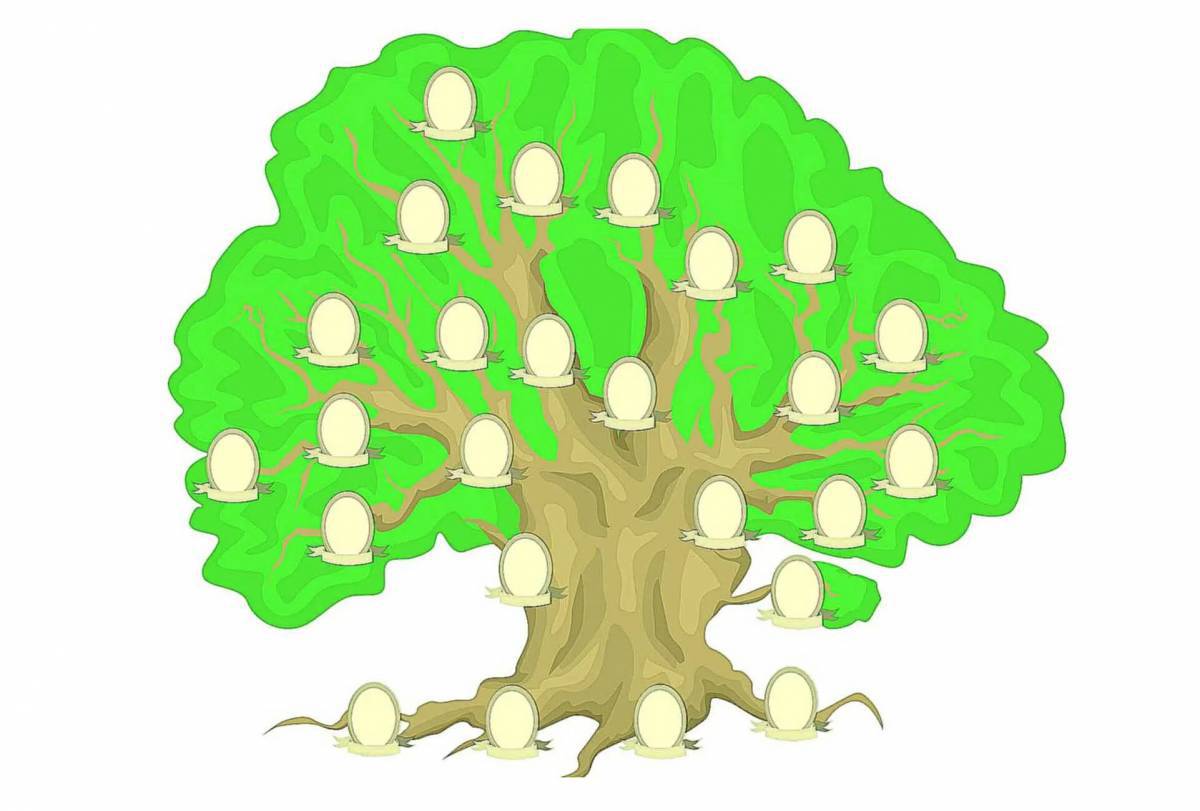 Генеалогическое дерево #24